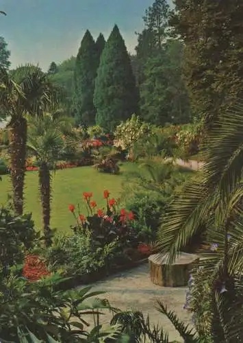 Mainau (Insel) - Blick vom Palmenhain - ca. 1985