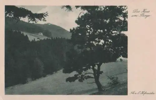 Altenau - Harz - Das Haus am Berge - ca. 1955