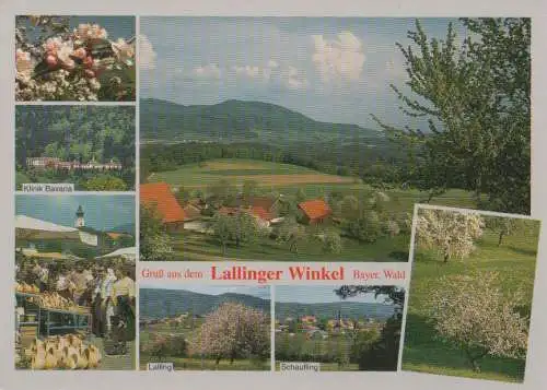 Bayerischer Wald - Lallinger Winkel - ca. 1995