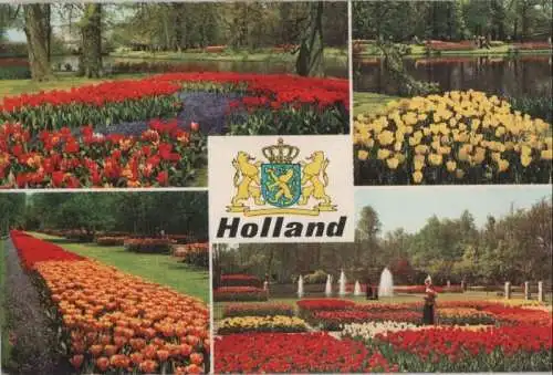 Niederlande - Niederlande - Holland - in bloementooi - ca. 1975