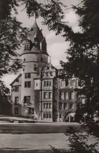 Detmold - Schloß - ca. 1955