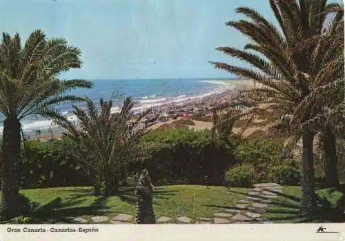 Spanien - Playa del Inglés - Spanien - Ansicht durch Palmen