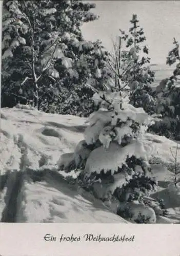 Frohes Weihnachtsfest Bäume mit Schnee