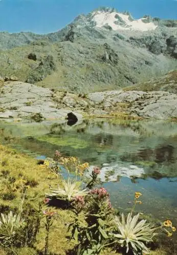 Venezuela - Anden - Venezuela - Los Andes