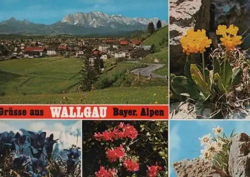 Wallgau - 5 Teilbilder - 1983