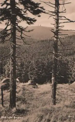 Schierke - Harz - Blick zum Brocken - 1961