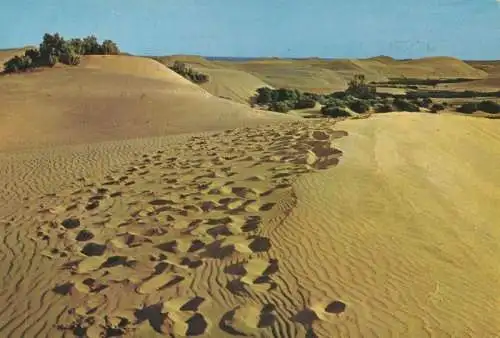 Spanien - Maspalomas - Spanien - Dunas