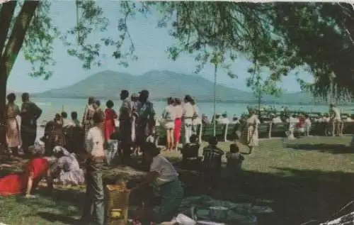 USA - USA, Kalifornien - Lakeport - Municipal Park - 1959