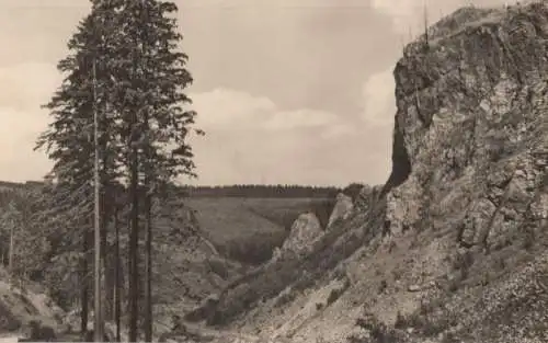 Gehlberg - An den Gelerfelsen