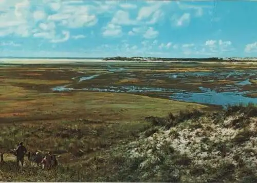 Niederlande - Niederlande - Texel - De Skufter - 1977