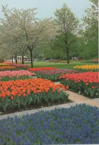 Niederlande - Niederlande - Lisse - Keukenhof - ca. 1985