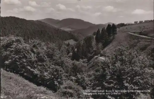 Winterberg - Naturpark Helle mit Orketal - 1965