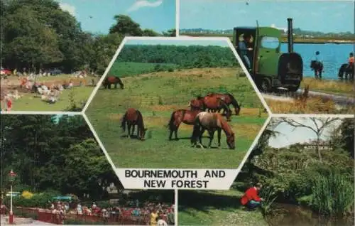 Großbritannien - Bournemouth - Großbritannien - and New Forest