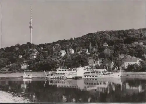 Dresden - Blick vom Laubegaster Ufer - 1978