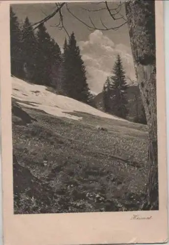 Schweiz - Schweiz - Schiers - Heimat - ca. 1950