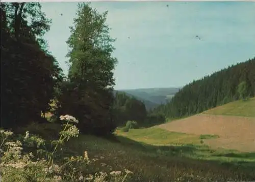 Frankenwald - Sommertag - ca. 1980