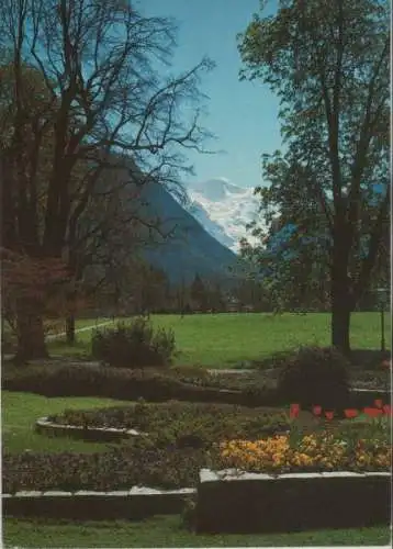 Schweiz - Schweiz - Interlaken - Blick auf Jungfrau - 1983