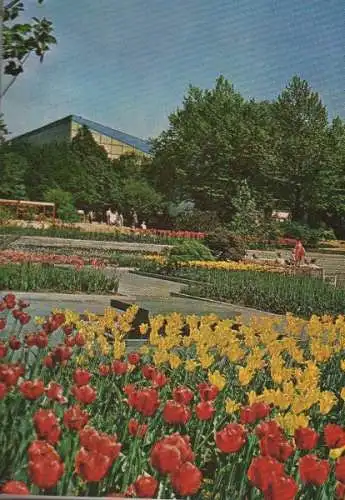 Essen - Bundesgartenschau, Farbenterrassen - 1965