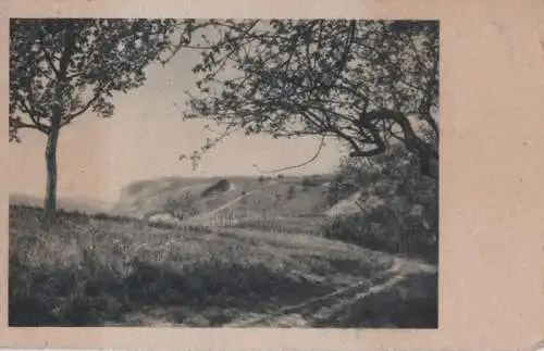 Weg entlang der Wiese - ca. 1955