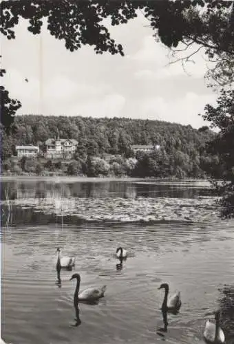 Buckow - Am Griepensee - 1982