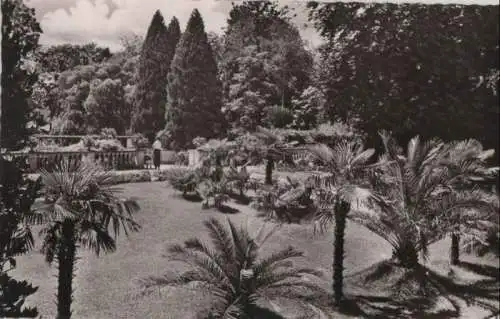 Mainau - Palmenhain - 1955