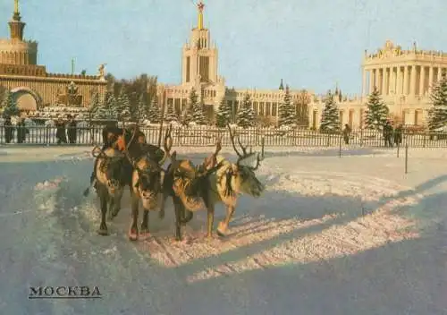 Russland - Moskau - Russland - im Winter