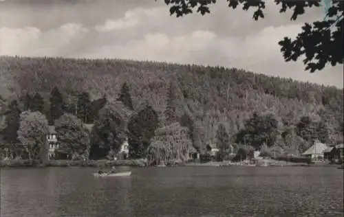 Georgenthal - Am Hammerteich - 1964