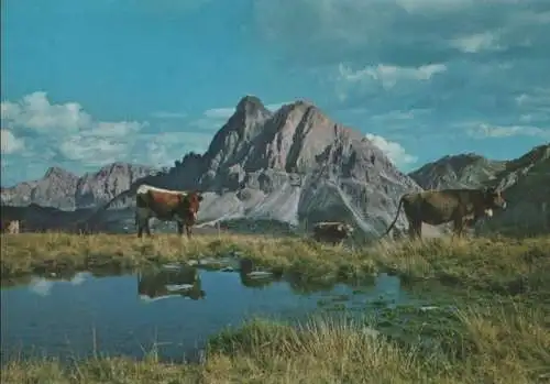 Italien - Italien - Peitlerkofel - ca. 1980