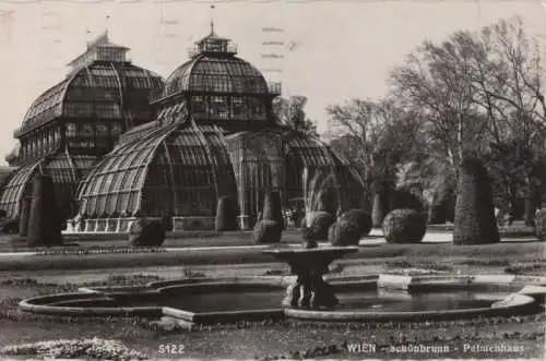 Österreich - Österreich - Wien - Schönbrunn, Palmenhaus - 1961