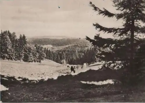 Altenberg-Bärenburg - Blick über die Försterwiese - 1972