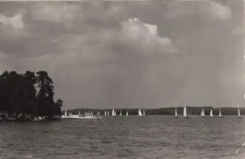 Scharmützelsee - Segelregatta - 1961