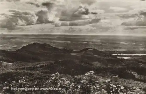 Drachenfels - Blick vom Ölberg