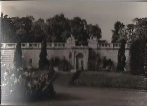 Potsdam - Sanssouci, Sizilianischer Garten - 1967