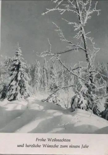 Frohe Weihnachten Schneelandschaft