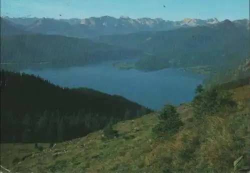 Walchensee - vom Jochberg - 1983