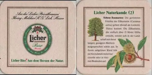 Bierdeckel quadratisch - Licher