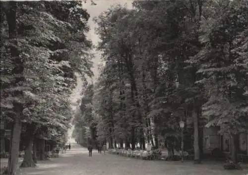 Bad Pyrmont - Brunnenallee - ca. 1960