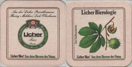 Bierdeckel quadratisch - Licher