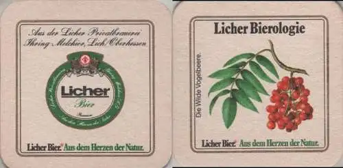 Bierdeckel quadratisch - Licher