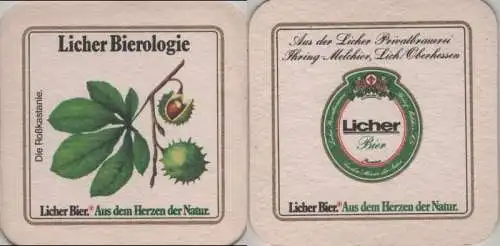 Bierdeckel quadratisch - Licher