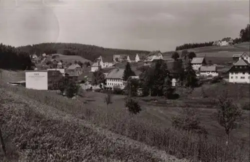 Eisenbach (Hochschwarzwald) - Ansicht