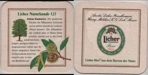 Bierdeckel quadratisch - Licher