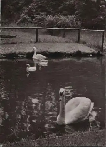 Bad Salzuflen - Am Schwanenteich - 1957