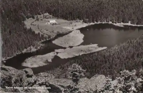 Arbersee - Kleiner, mit schwimmenden Inseln