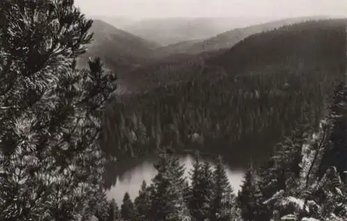 Wildsee (Schwarzwald) - beim Ruhestein - ca. 1955