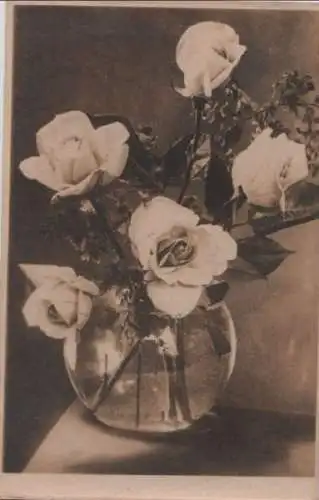 Rosen in Vase