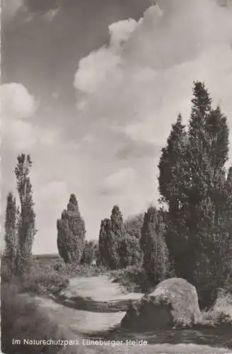 Lüneburger Heide - 1957