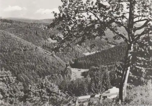 Frauenwald Rennsteig - Blick in Tränkbachtal - 1983