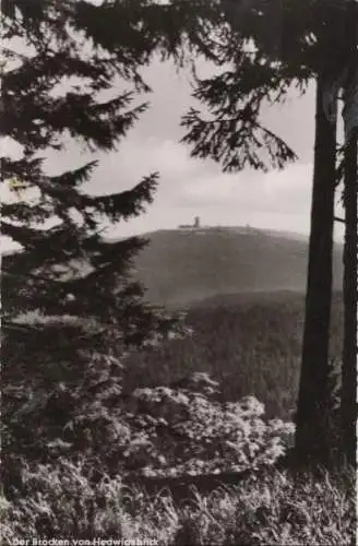 Brocken - vom Hedwigsblick