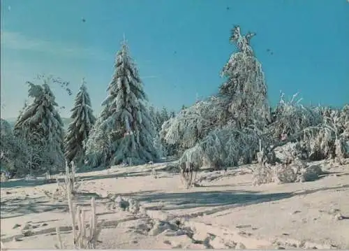 Sauerland - Hochsauerland, Winterzauber - 1977